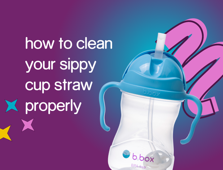 b.box Sippy Cup Replacement Straws and Cleaner