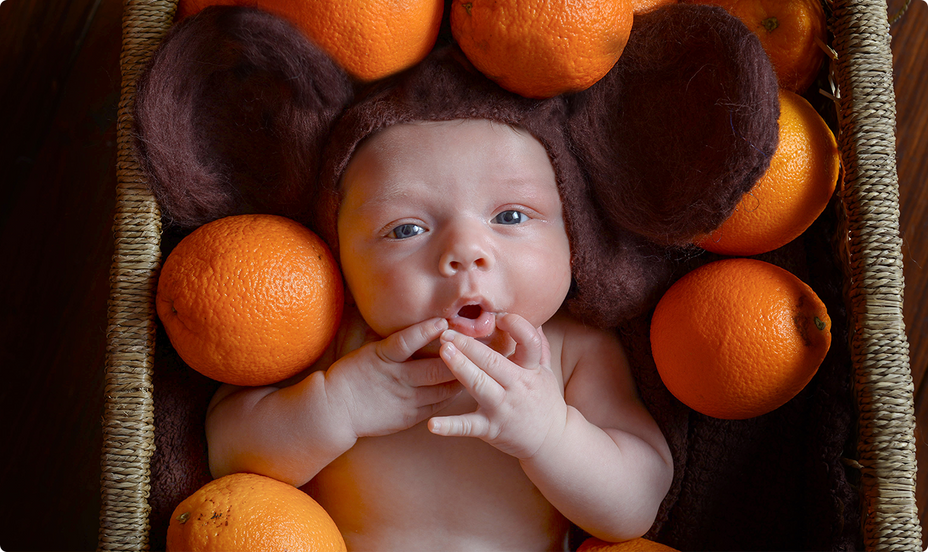 from breastfeeding to family foods