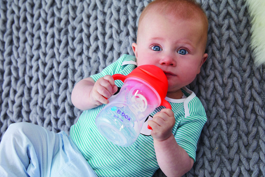 Top 10 tips for travelling with bubs