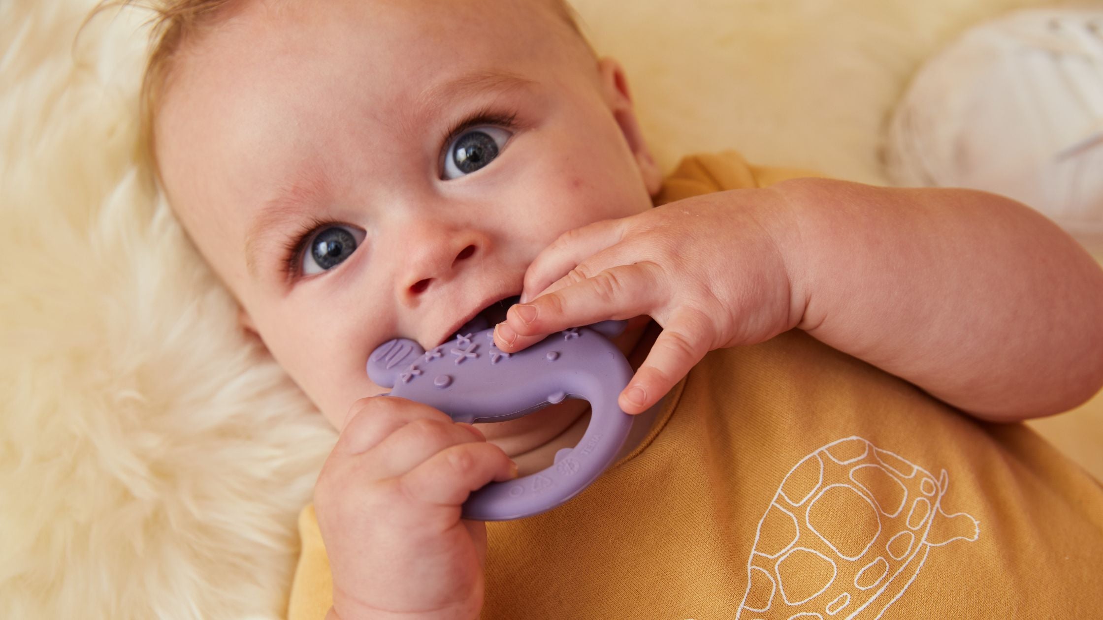 Unlock the Benefits of a Mesh or Silicone Baby Feeder: Chew, Teethe &  Self-Feed Safely