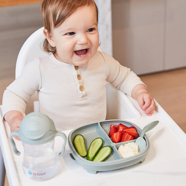 2 in 1 suction plate