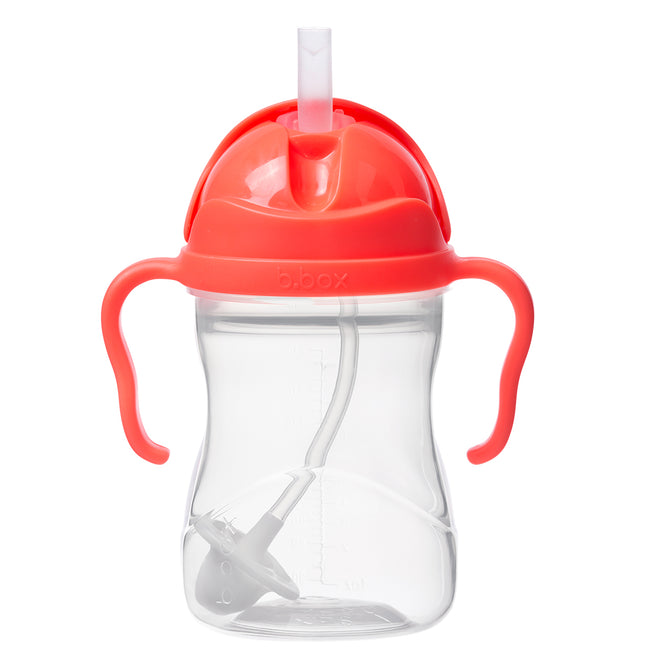 sippy cup - watermelon