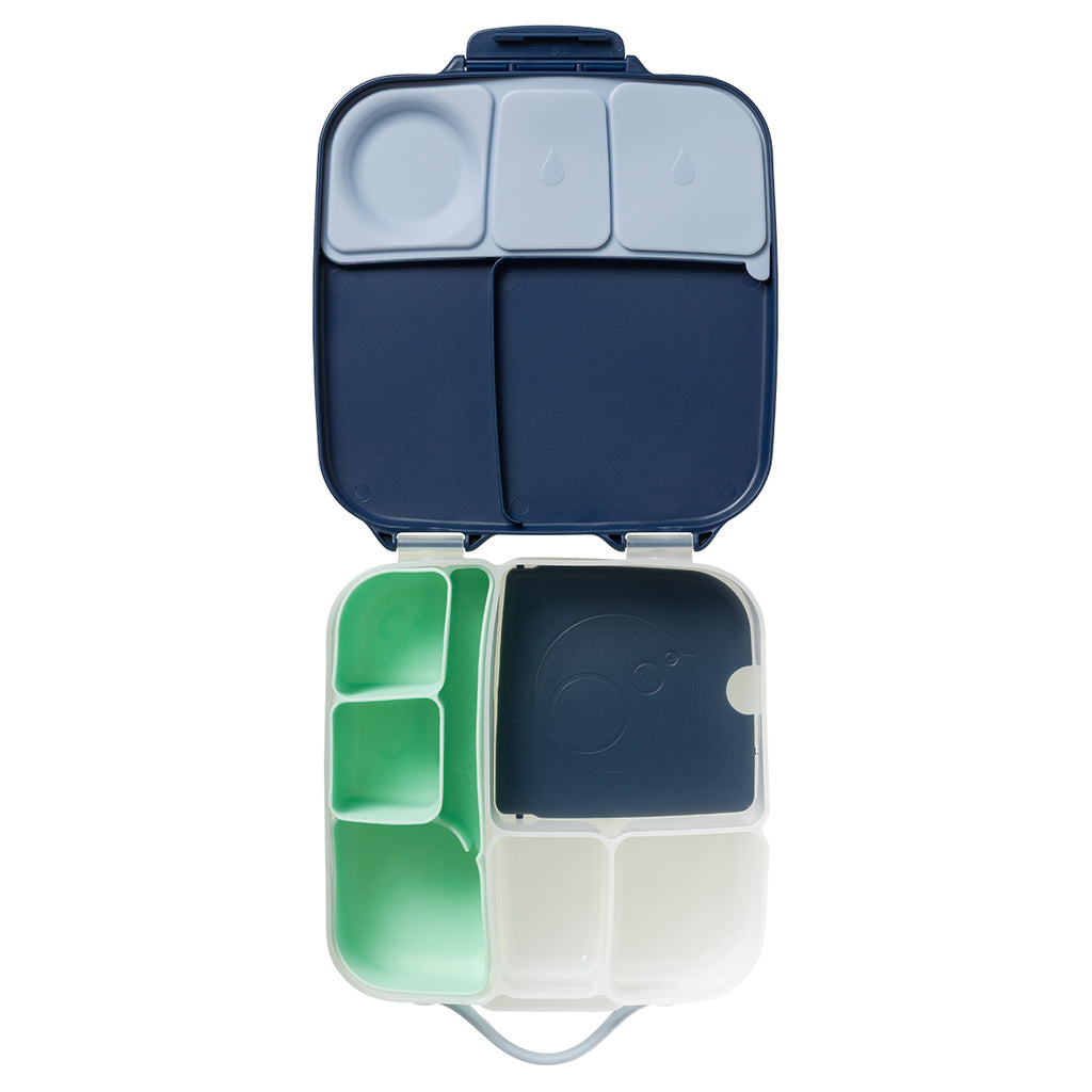 silicone bento tray - lunchbox - ocean