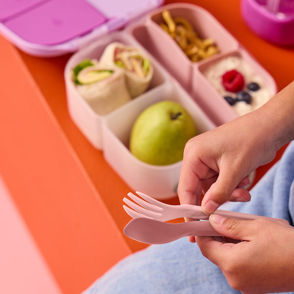 lunchbox accessories