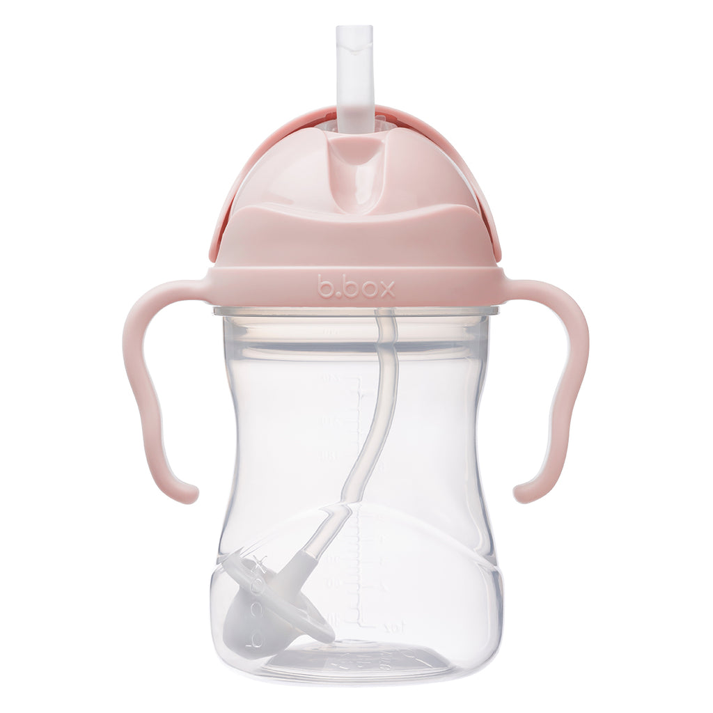 sippy cup - blush