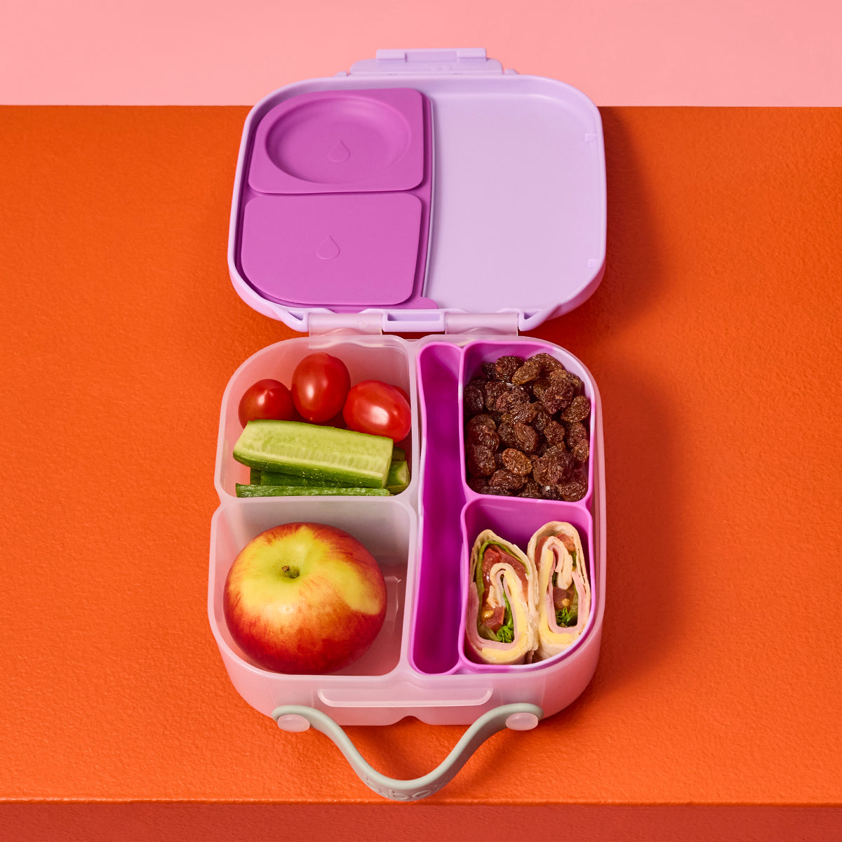 silicone bento tray - mini lunchbox - cosmic
