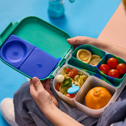 mini lunchbox - electric jungle