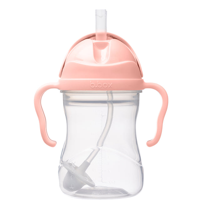 gelato sippy cup - tutti frutti