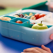 silicone bento tray - lunchbox - confetti
