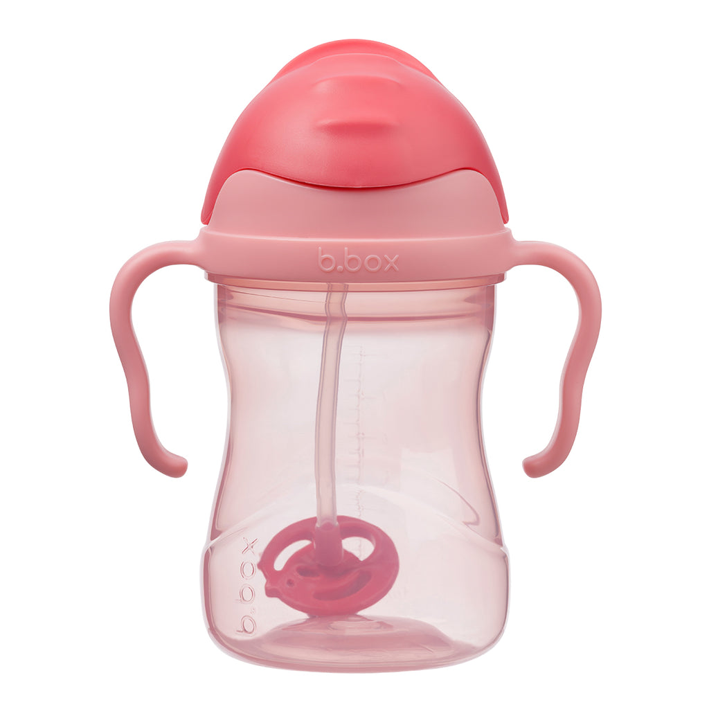 sippy cup - sweet ruby