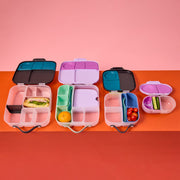 silicone bento tray - mini lunchbox - ocean