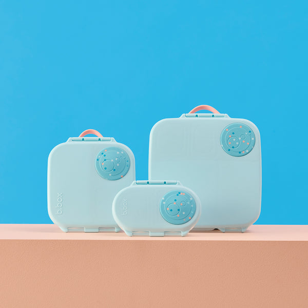 bento lunchboxes