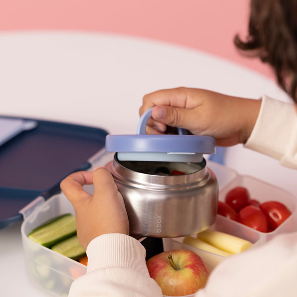 insulated lunch pod