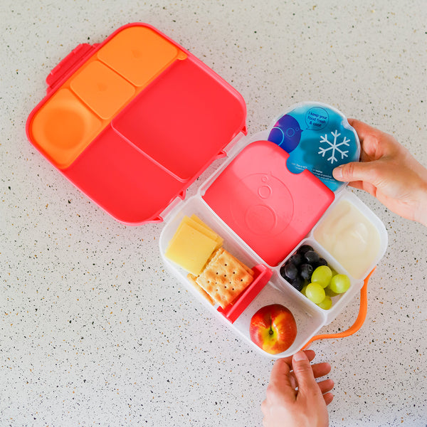 bento lunchboxes