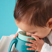 360 cup - emerald forest