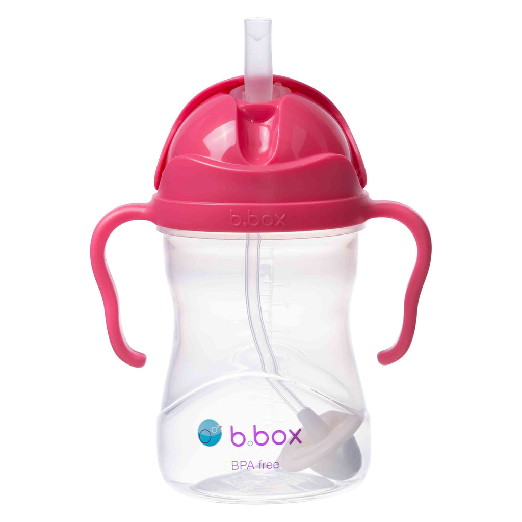 sippy cup - raspberry