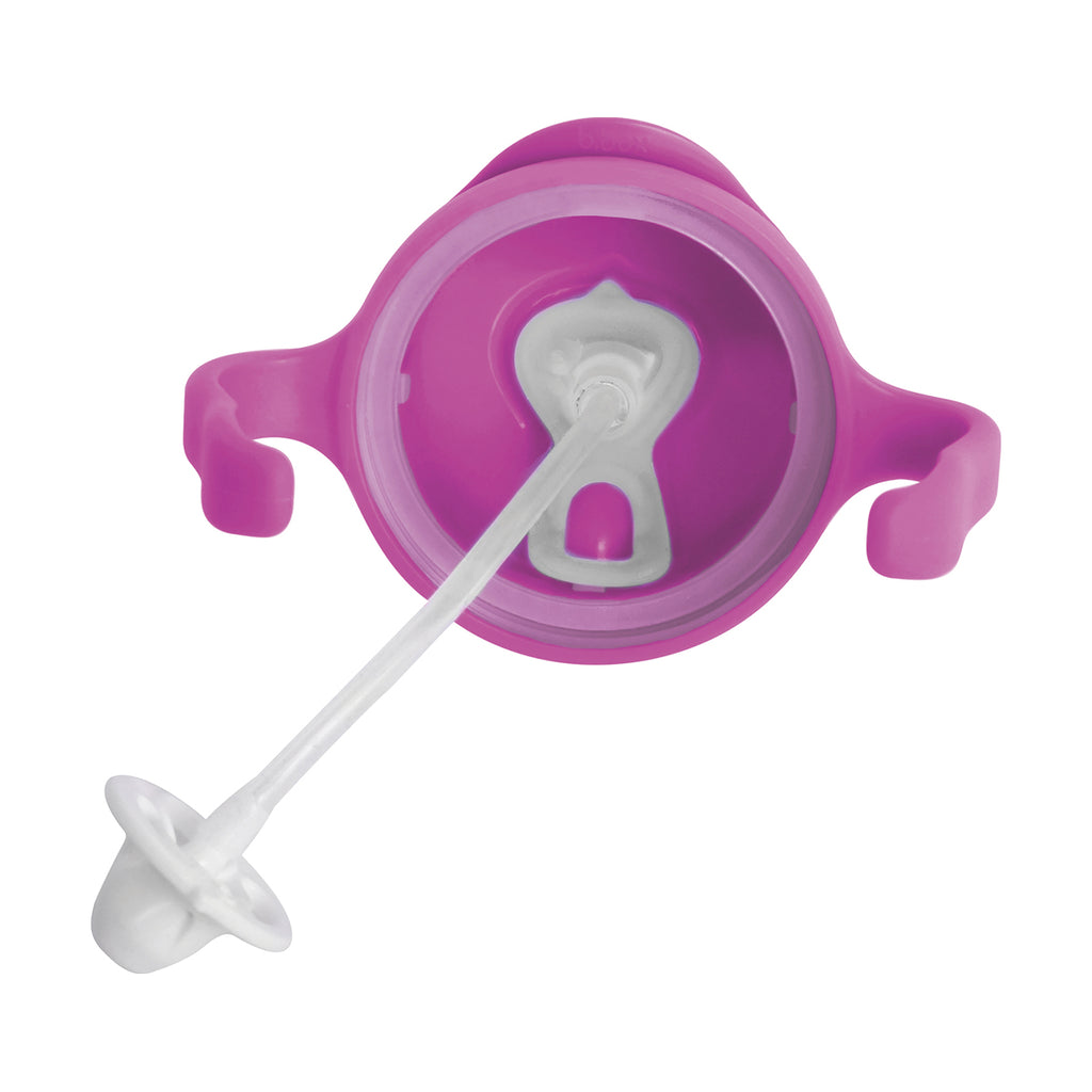 sippy cup - pink pomegranate