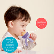 teethe + taste bundle