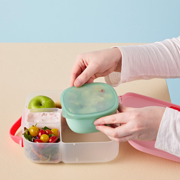 lunch tub