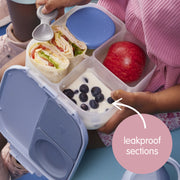 mini lunchbox - spearmint