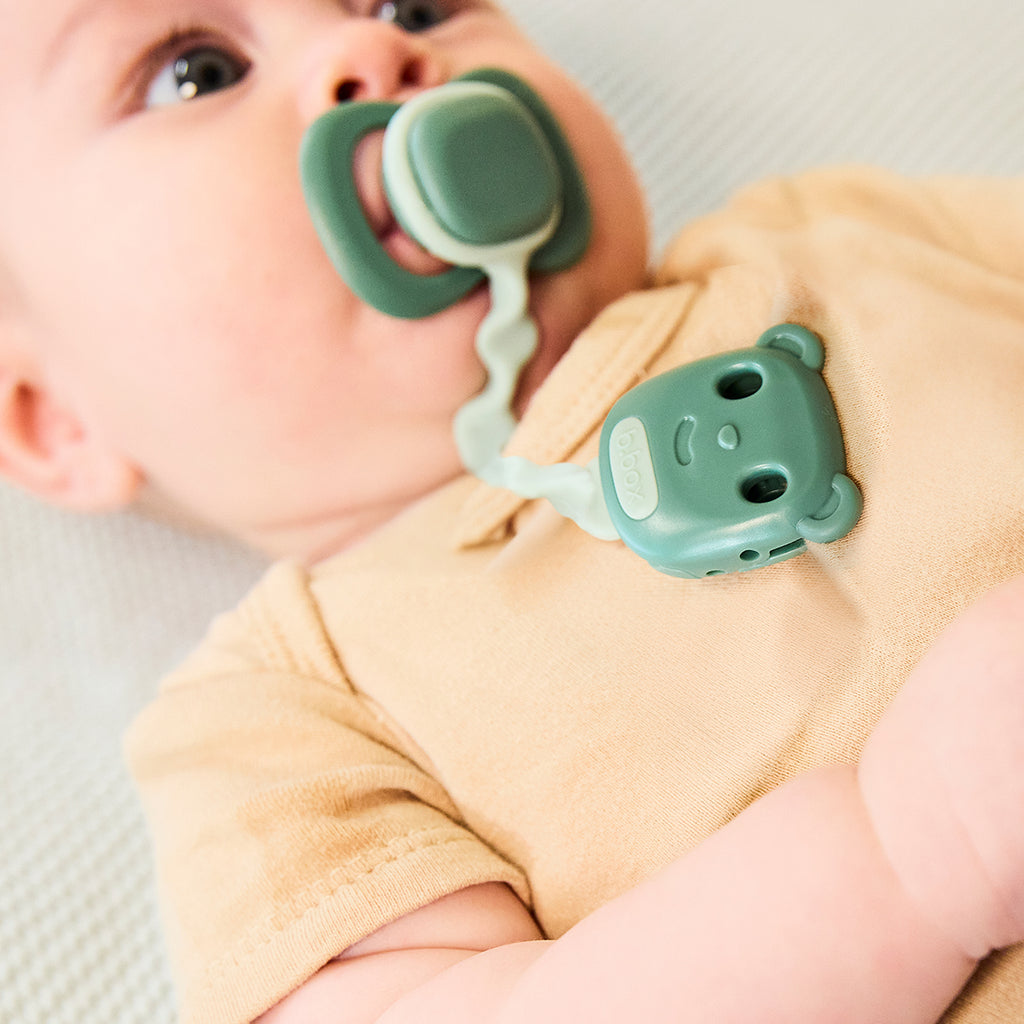 soother clip - sage + ocean