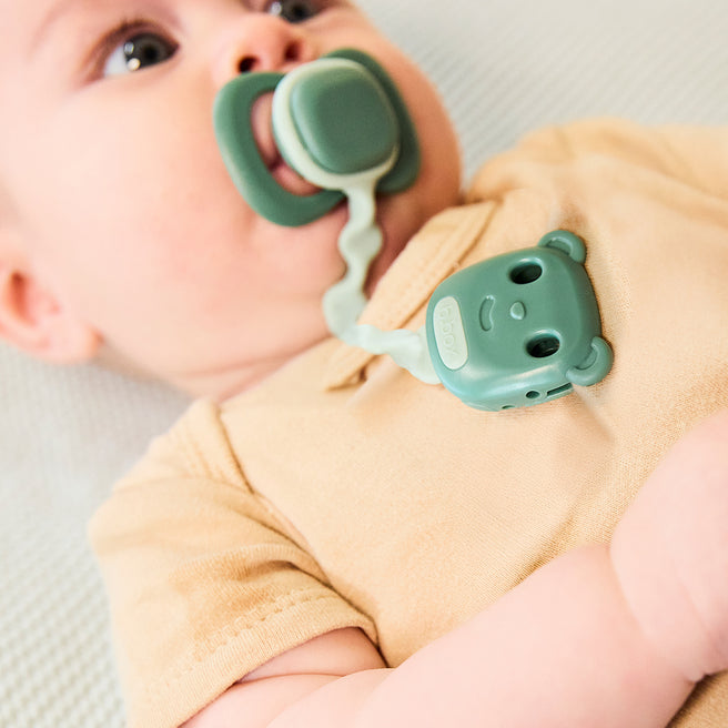 soother clip - sage + ocean