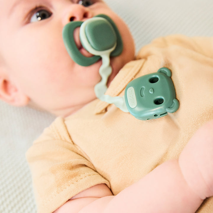 soother clip - sage + ocean