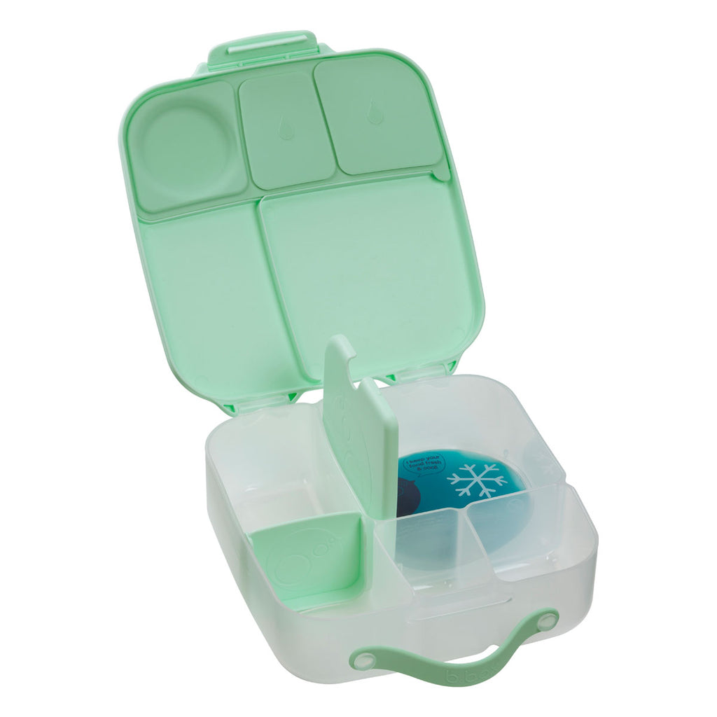 mini lunchbox - spearmint