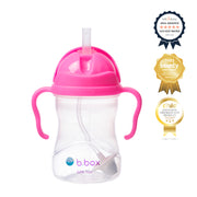 sippy cup - pink pomegranate