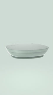 silicone plate + lid - sage