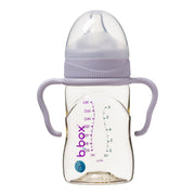 baby bottle handles with PPSU Baby Bottle - peony - b.box for kids