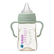 baby bottle handles with PPSU Baby Bottle - sage - b.box for kids