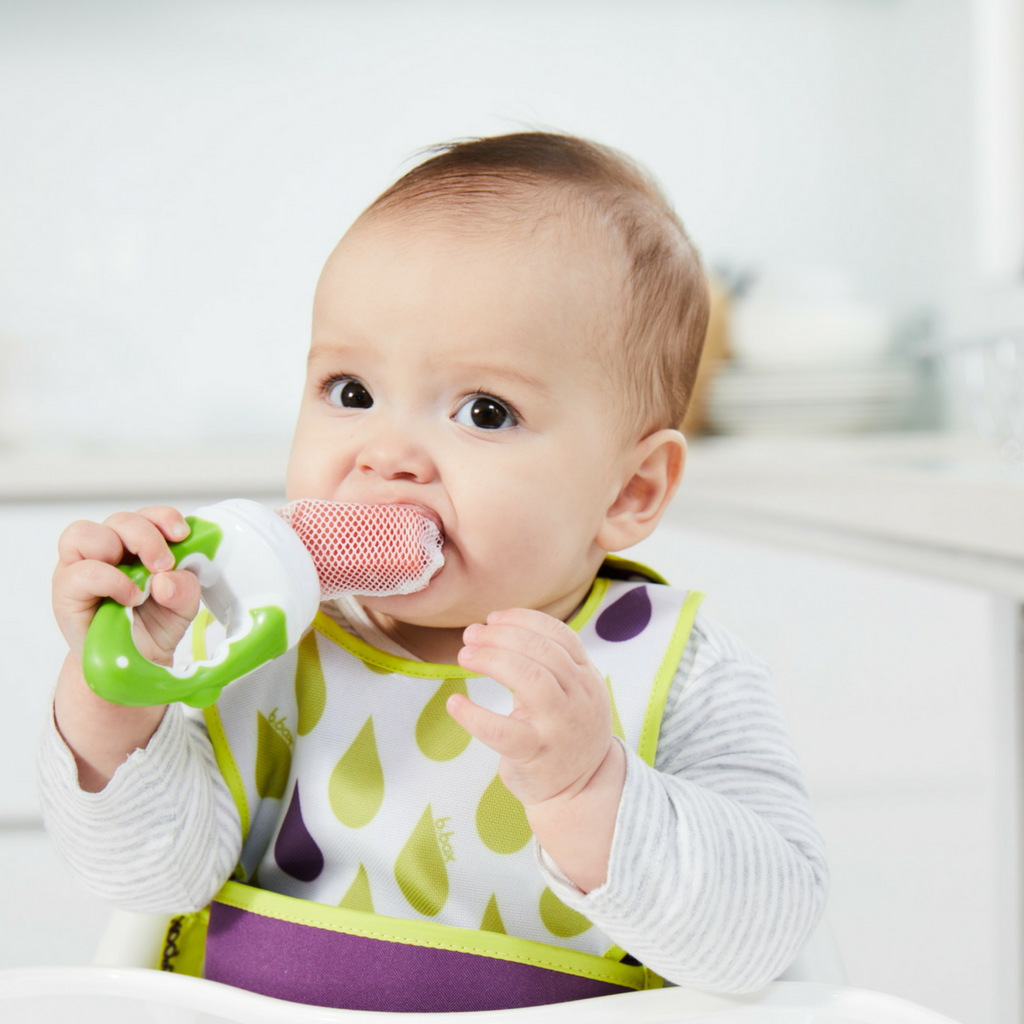 child with fresh food feeder - grape - b.box for kids