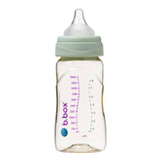 PPSU Baby Bottle - 240ml Sage - b.box for kids